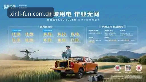 资深用户揭秘：新利体育娱乐客服体验与实用心得分享